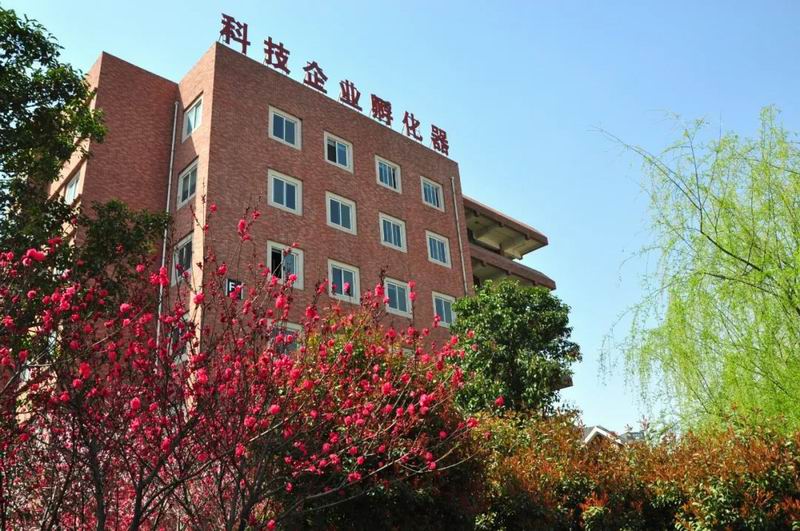 1654935452895095.jpg 640 (3).jpg